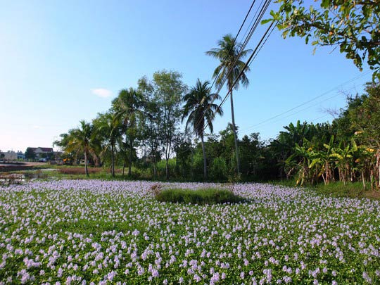 Xác chết sống dậy và hàng loạt vụ án khó tin nhưng có thật - 1