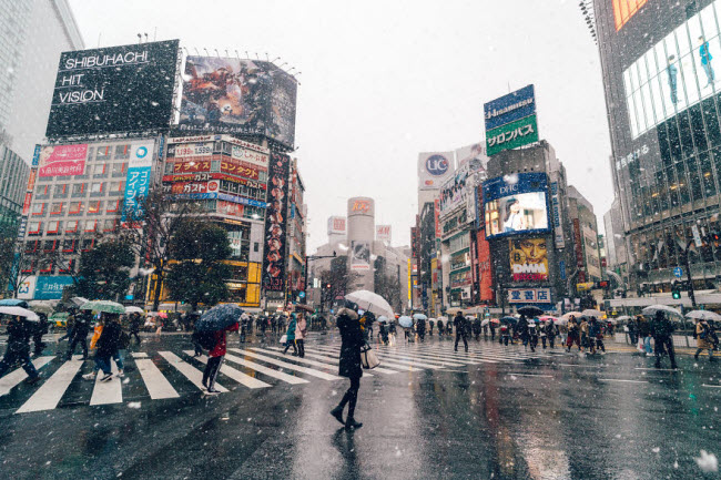 Khung cảnh tuyết rơi tại khu Shibuya, Tokyo.