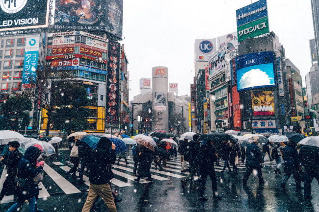 Mọi người cầm ô để che tuyết rơi khi đi qua đường tại khu Shibuya, Tokyo.