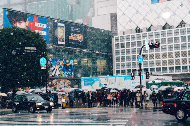 Mọi người đứng chờ qua đường dưới mưa tuyết ở khu Shibuya, Tokyo.