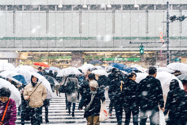 Mọi người qua đường dưới mưa tuyết và gió rét ở khu Shinjuku, Tokyo.