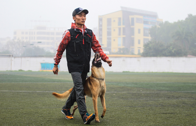 Tròn mắt xem chó chăn cừu giá siêu đắt tung chiêu hạ gục "đối thủ" - 3