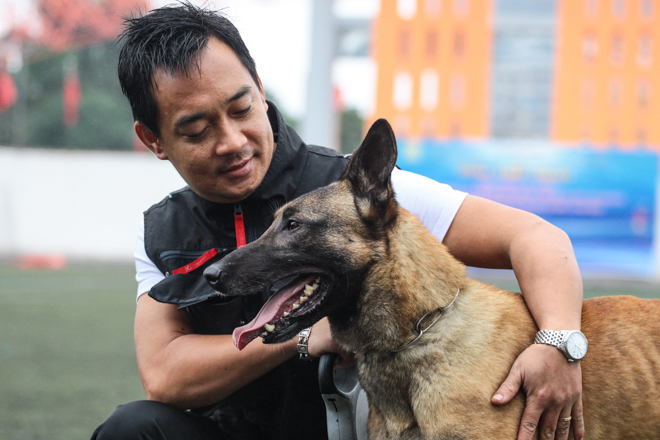 Tròn mắt xem chó chăn cừu giá siêu đắt tung chiêu hạ gục "đối thủ" - 2