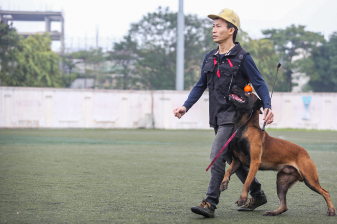 Tròn mắt xem chó chăn cừu giá siêu đắt tung chiêu hạ gục "đối thủ" - 4