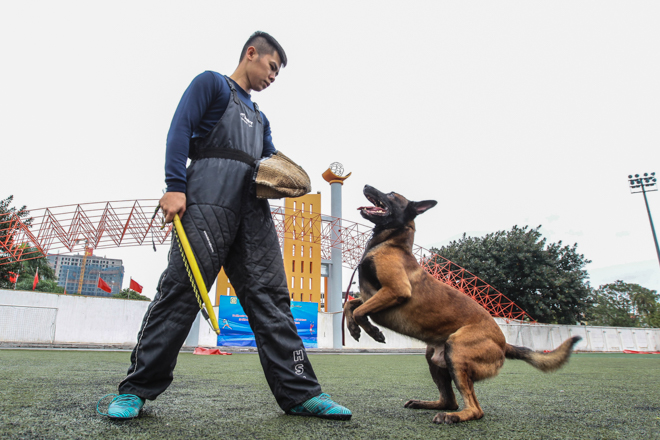Tròn mắt xem chó chăn cừu giá siêu đắt tung chiêu hạ gục "đối thủ" - 10