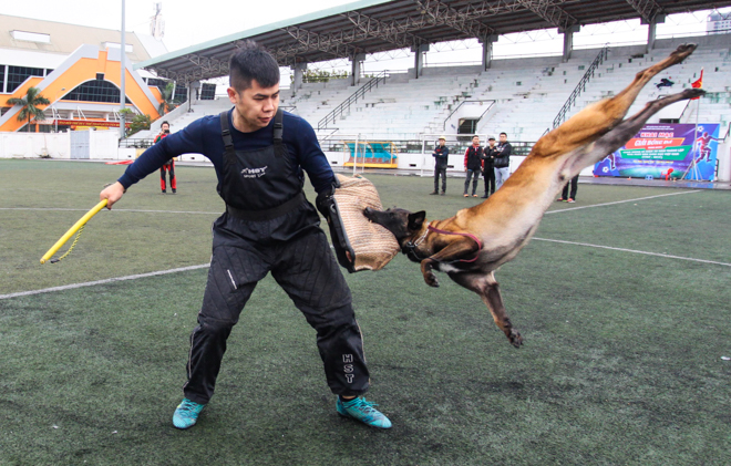 Tròn mắt xem chó chăn cừu giá siêu đắt tung chiêu hạ gục "đối thủ" - 12