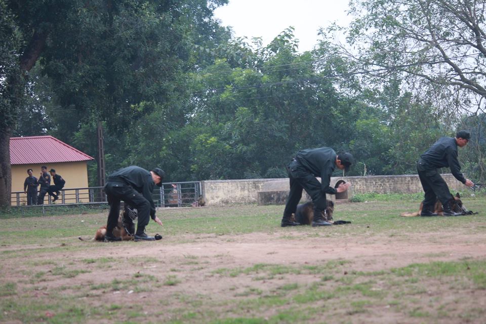 Xem cảnh sát chỉ huy chó nghiệp vụ luyện công trấn áp tội phạm - 2