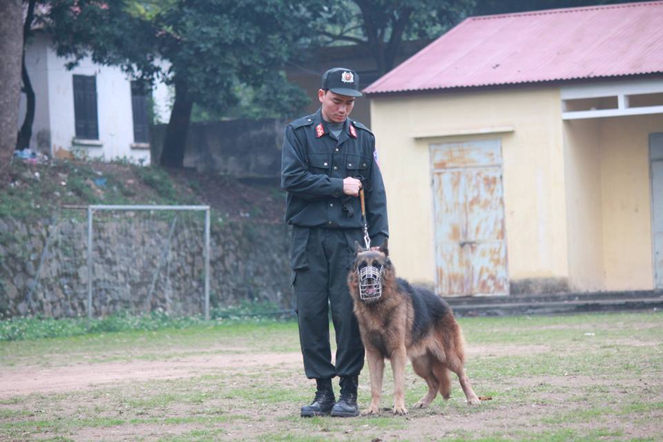 Xem cảnh sát chỉ huy chó nghiệp vụ luyện công trấn áp tội phạm - 6