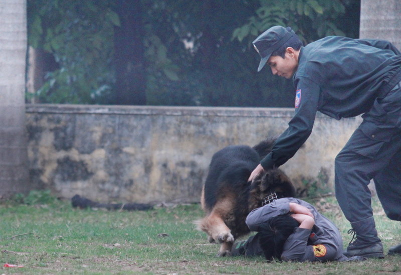 Xem cảnh sát chỉ huy chó nghiệp vụ luyện công trấn áp tội phạm - 14