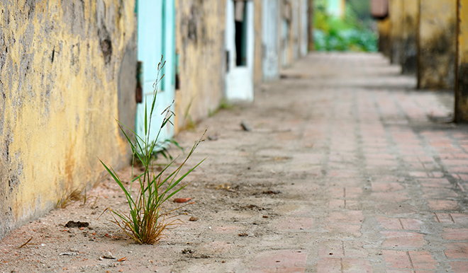 Thế giới biệt lập của những bệnh nhân phong cô độc - 4