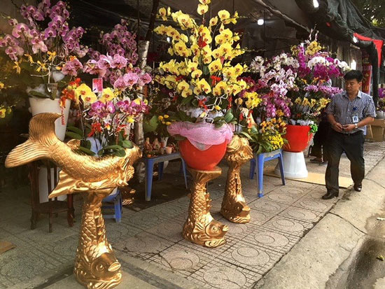 Người Việt chi 18 triệu USD mua hoa ngoại ngắm Tết - 1