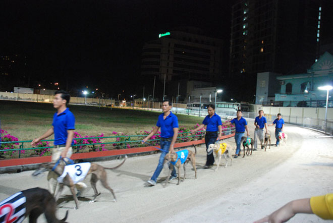 Đầu năm Mậu Tuất đi xem đua chó ở trường đua lớn nhất Đông Nam Á - 4