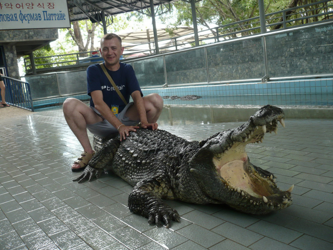 Cá sấu mà anh không sợ thì còn sợ cái gì nữa đây.