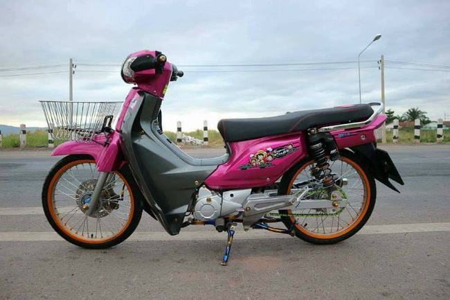 Bộ cánh còn giữ màu đen tàng hình càng làm nổi bật những mảng màu tím.