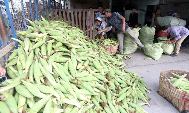Chợ chỉ bán duy nhất một mặt hàng ở Sài Gòn - 3