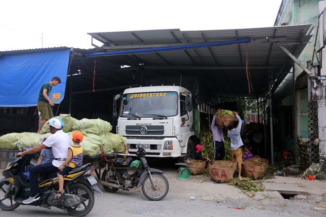 Chợ chỉ bán duy nhất một mặt hàng ở Sài Gòn - 4