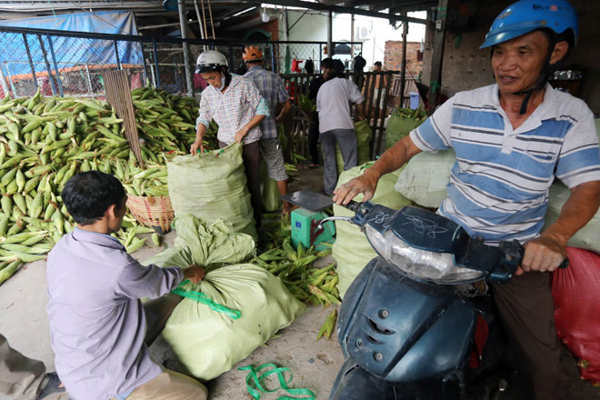 Chợ chỉ bán duy nhất một mặt hàng ở Sài Gòn - 12