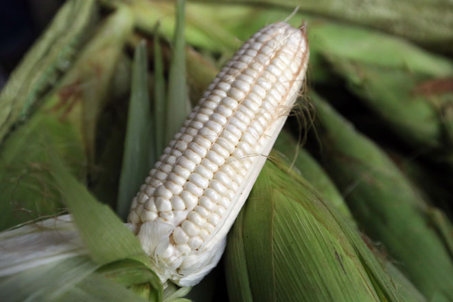 Chợ chỉ bán duy nhất một mặt hàng ở Sài Gòn - 7