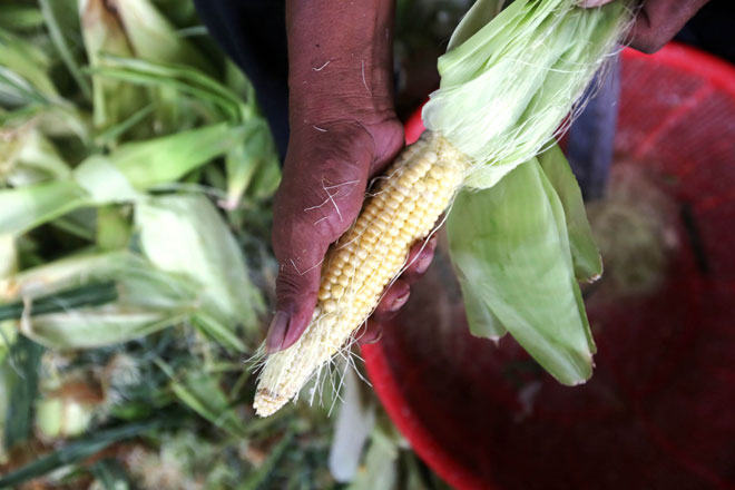 Chợ chỉ bán duy nhất một mặt hàng ở Sài Gòn - 16