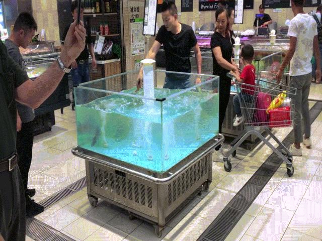 Cá tự dưng ”bay” khỏi bể nước vào xe mua hàng của khách