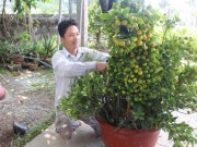 Thị trường - Tiêu dùng - Nhà vườn trúng đậm, thương lái thua lỗ