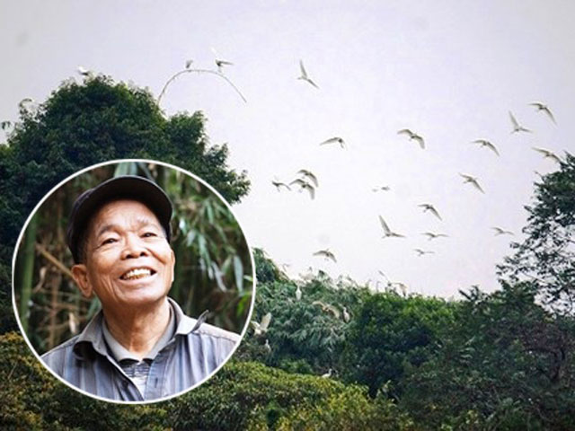 Tin tức trong ngày - Từ chối tiền tỉ, lão nông hơn 30 năm bảo vệ đàn chim trời
