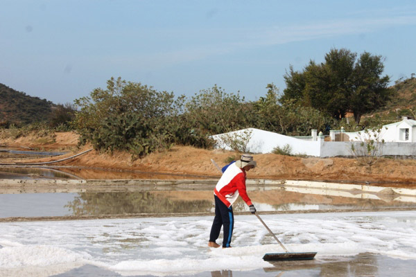 Giá muối tăng cao ngất ngưởng, diêm dân Ninh Thuận cười... cả ngày - 1