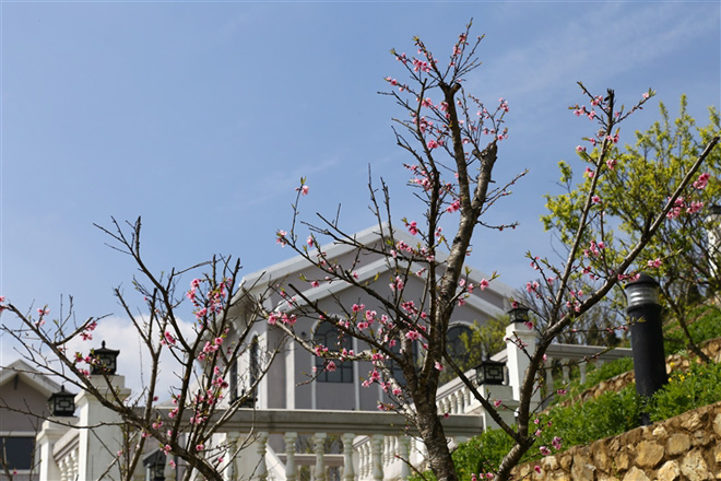 Trẩy hội khèn hoa, rinh quà đầu năm mới tại Sun World Fansipan Legend - 3