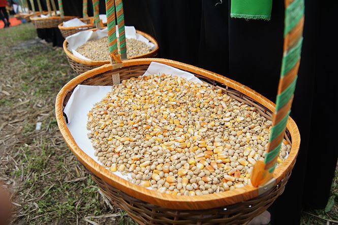 Xem &#34;nhà vua&#34; 95 tuổi xuống đồng làm lễ Tịch Điền - 10