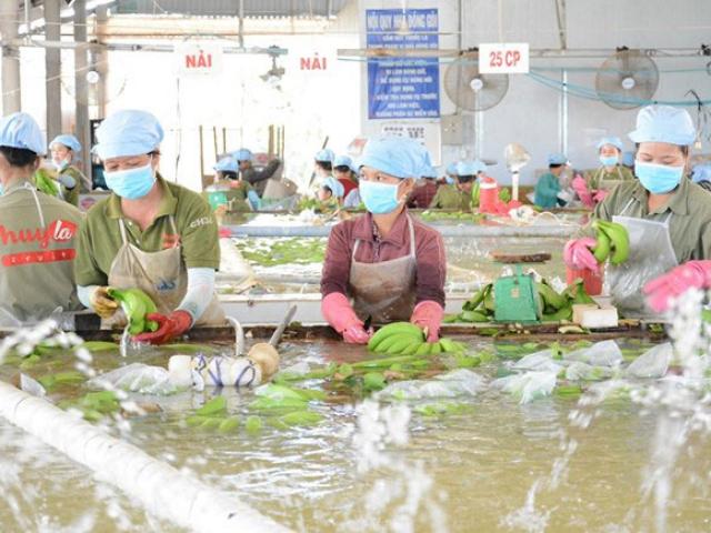 Thị trường - Tiêu dùng - Bất ngờ với người mua hàng Việt Nam nhiều nhất thế giới