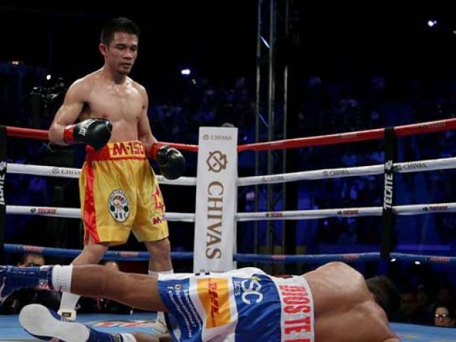 Thể thao - Chung kết quyền Anh WBC hạng ruồi: Ngôi sao người Thái Lan sẽ toả sáng?