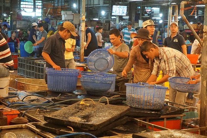 Nhộn nhịp chợ cá lóc trước ngày vía Thần tài - 15