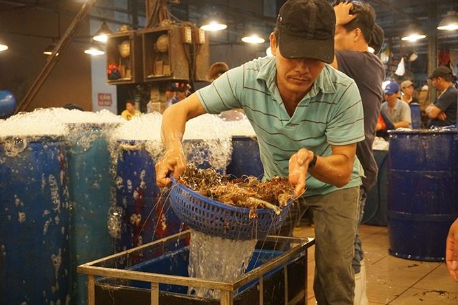 Nhộn nhịp chợ cá lóc trước ngày vía Thần tài - 4