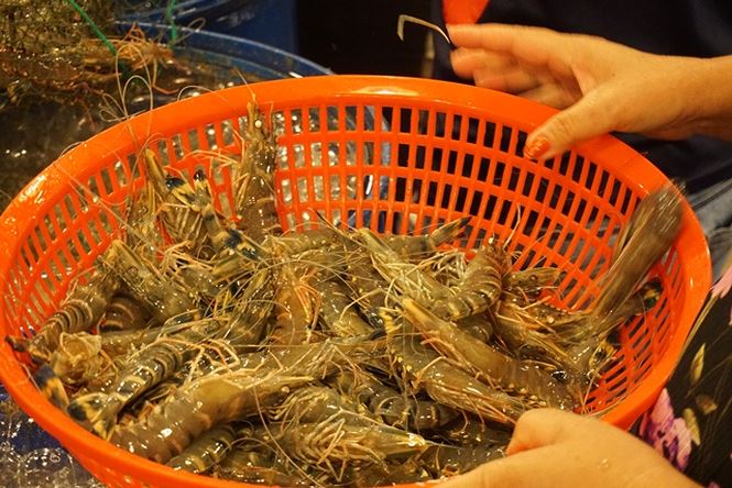 Nhộn nhịp chợ cá lóc trước ngày vía Thần tài - 5