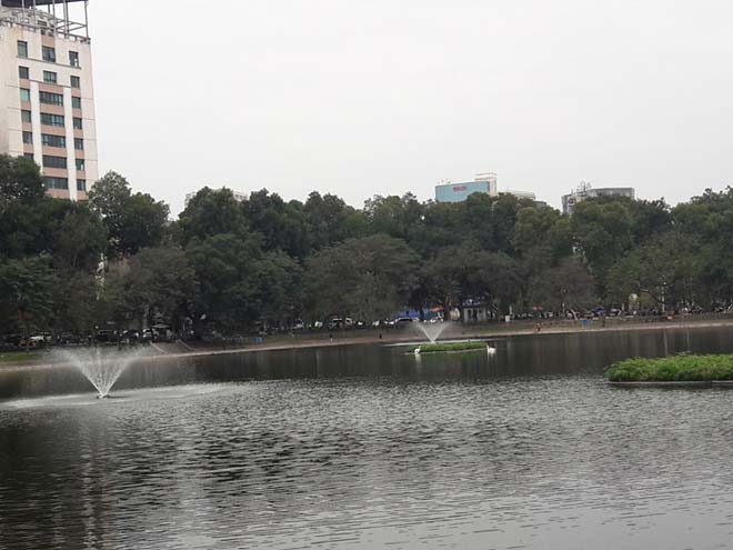 Sau Tết, đàn thiên nga ở Hà Nội có biểu hiện “lạ”? - 2