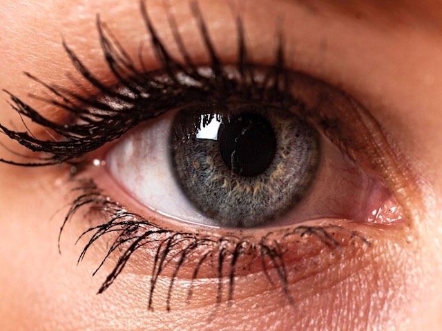 Công nghệ thông tin - AI của Google giúp dự đoán các chứng đột quỵ bằng quét võng mạc