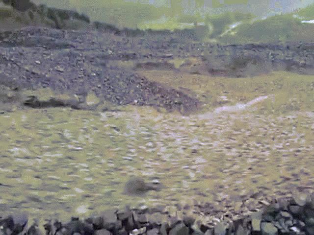 Thế giới - Dòng sông toàn đá chảy ầm ầm như nước ở New Zealand