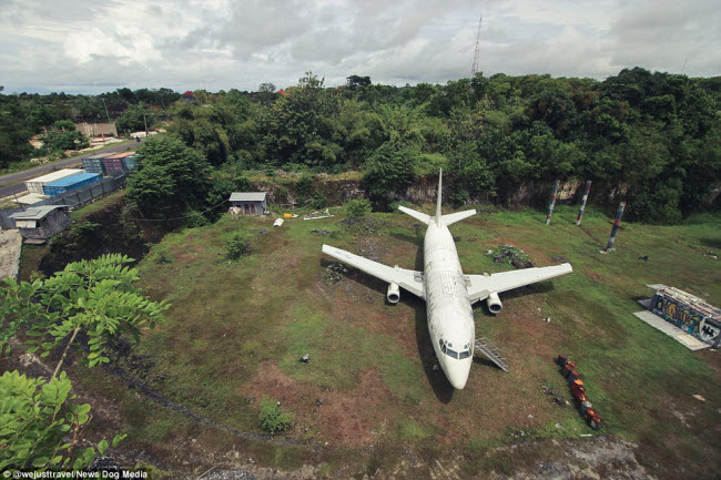 Du khách đổ xô khám phá máy bay bỏ hoang giữa cánh đồng - 1