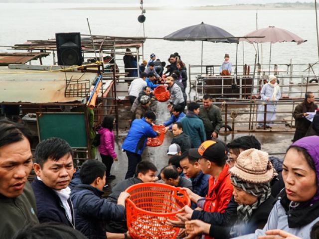 Ban tổ chức nói về nguồn gốc 5.000 con cá trong lễ phóng sinh gây tranh cãi