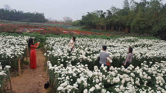 Một chiều xuân lạc vào thiên đường hoa giữa lòng Hà Nội - 7