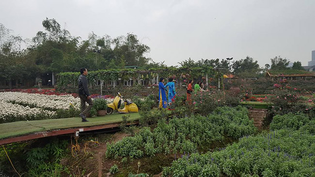 Một chiều xuân lạc vào thiên đường hoa giữa lòng Hà Nội - 10
