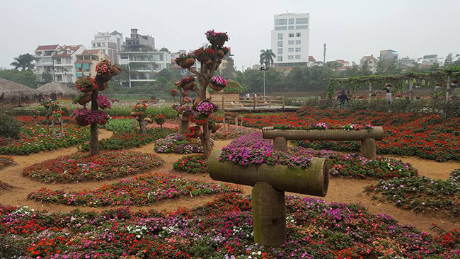 Một chiều xuân lạc vào thiên đường hoa giữa lòng Hà Nội - 2
