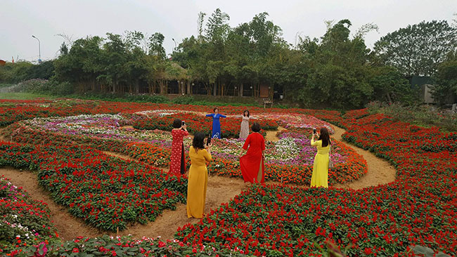 Một chiều xuân lạc vào thiên đường hoa giữa lòng Hà Nội - 9