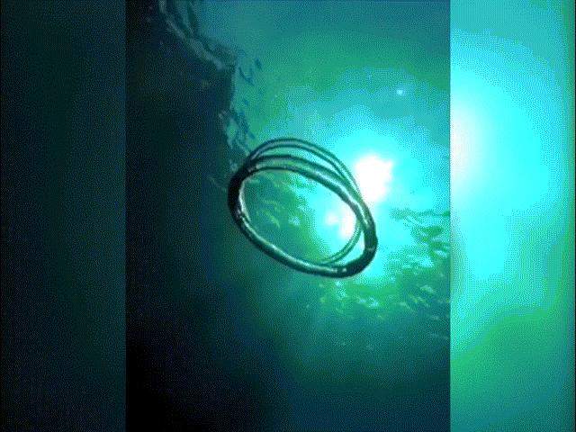Vòng tròn bí ẩn xuất hiện dưới biển Úc