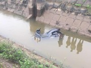 Tin tức trong ngày - Phát hiện cán bộ trại giam tử vong dưới mương nước