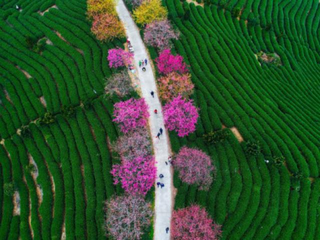 Du lịch - Loạt ảnh du lịch đẹp mãn nhãn, xem xong chỉ muốn xách ba lô lên và đi