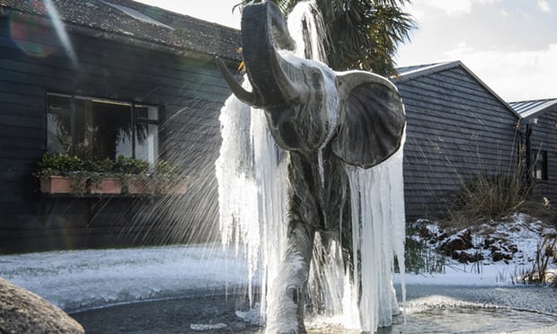 "Quái vật phương Đông" giết 10 người châu Âu: Từ đâu mà đến? - 2