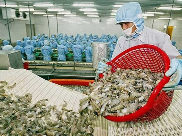 Hàng Việt ra biển lớn: Dở khóc, dở cười - 1