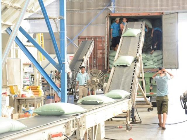 Thị trường - Tiêu dùng - Trung Quốc ngưng mua gạo của 3 ông lớn vì… hạt cỏ