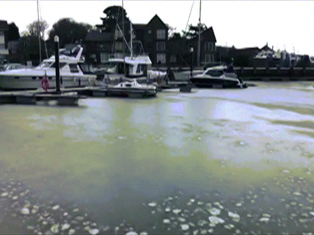 Thế giới - "Quái vật phương Đông" gây ra hiện tượng kỳ lạ ở Anh